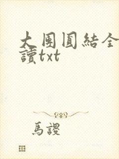 大团圆结全文阅读txt封面