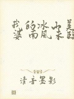 我的冰山美女老婆 南风未临封面