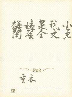 梅姨是我小妈的闺蜜全文免费阅读