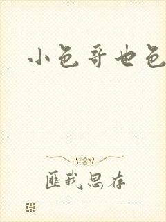 小色哥也色封面