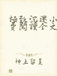 极致沉迷小说免费阅读全文笔趣阁