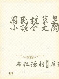 国民校草是女生小说全文阅读