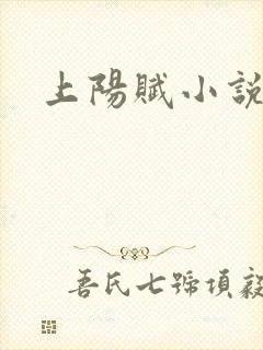 上阳赋小说
