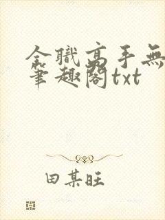 全职高手无弹窗笔趣阁txt