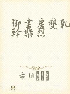 御书房双乳晃动干柴烈封面