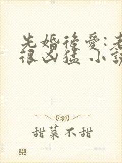 先婚后爱:老公很凶猛 小说免费阅读