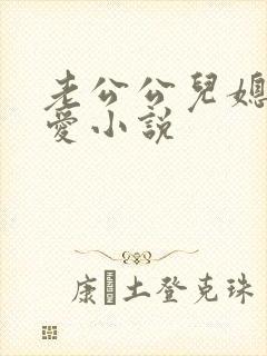 老公公儿媳妇爱爱小说封面