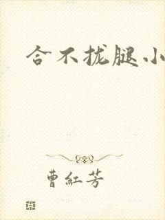 合不拢腿小说
