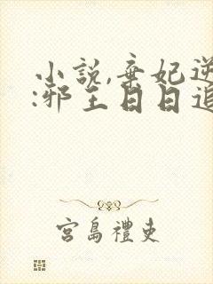 小说,弃妃逆袭:邪王日日追妻忙