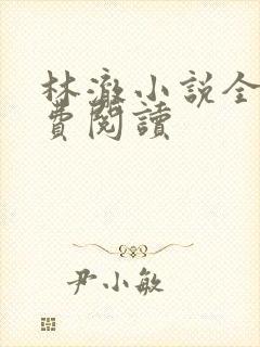 林澈小说全文免费阅读