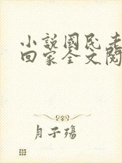 小说国民老公带回家全文阅读