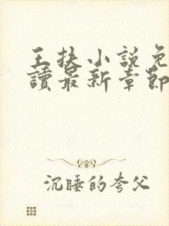 王扶小说免费阅读最新章节无弹窗封面
