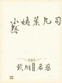 小姨叶凡司徒嫣然封面