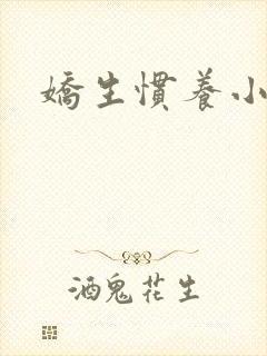 娇生惯养小说