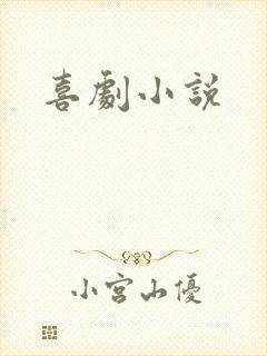 喜剧小说