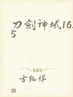 刀剑神域16.5