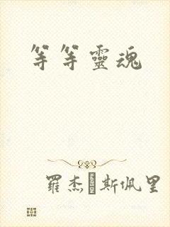 等等灵魂