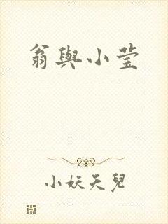 翁与小莹封面