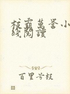校霸万誉小说在线阅读封面
