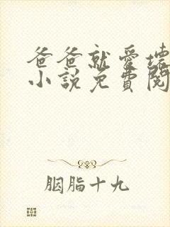 爸爸就爱坏爸爸小说免费阅读全文