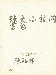 辣文小说网第二书包封面