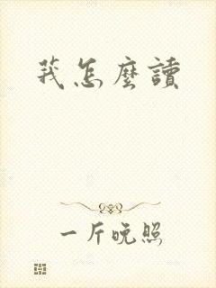 莪怎么读封面