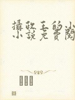 摄政王的小闲妻小说免费阅读