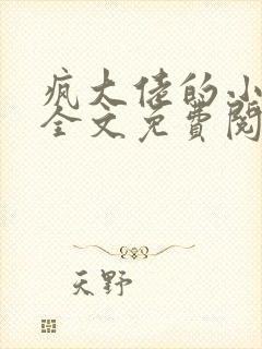 疯大佬的小玩物全文免费阅读小说封面