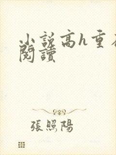 小说高h重在线阅读