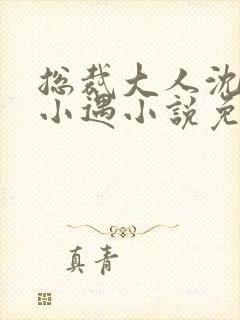 总裁大人沈仰童小遇小说免费阅读