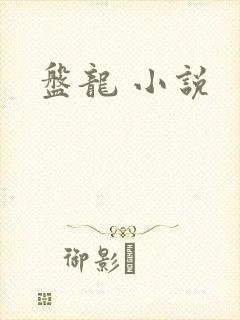 盘龙 小说