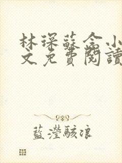 林琛苏念小说全文免费阅读