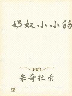 奶奴小小的小说