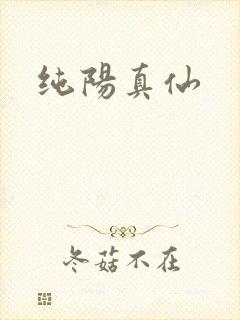 纯阳真仙