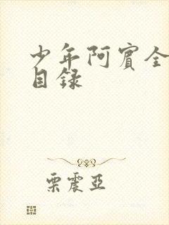 少年阿宾全章节目录封面