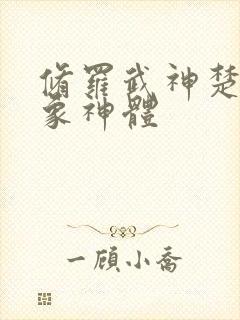 修罗武神楚枫四象神体封面