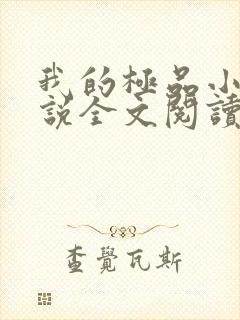 我的极品小姨小说全文阅读封面