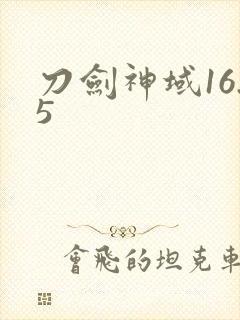 刀剑神域16.5