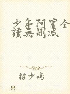 少年阿宾全文阅读无删减