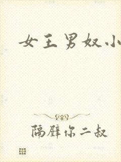 女王男奴小说