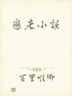 恋老小说