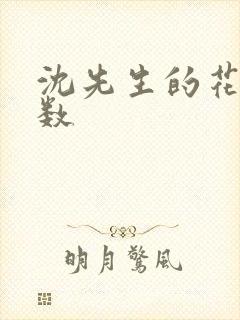 沈先生的花式调数