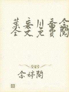 叶妄川乔念小说全文免费阅读封面
