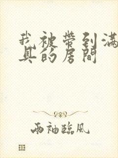 我被带到满是玩具的房间封面