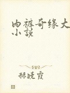 内裤奇缘大团结小说封面