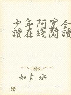 少年阿宾全文阅读在线阅读全文第一季