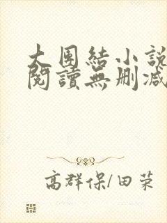 大团结小说在线阅读无删减封面