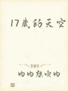 17岁的天空封面