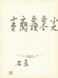 十文哥哥小说免费阅读全文封面