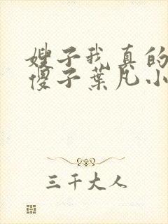 嫂子我真的不是傻子叶凡小说全文阅读